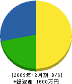 櫻庭電気商会 貸借対照表 2009年12月期