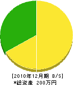 平山昭造園 貸借対照表 2010年12月期