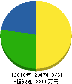 辻井組 貸借対照表 2010年12月期