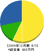 坪内鉄工所 貸借対照表 2009年12月期
