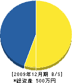 柿本電気商会 貸借対照表 2009年12月期