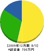 田原開発 貸借対照表 2009年12月期