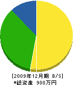 畳三中村三次郎商店 貸借対照表 2009年12月期