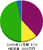 風雅堂 貸借対照表 2009年12月期