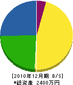 天田建設 貸借対照表 2010年12月期