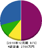 紙田工務店 貸借対照表 2010年12月期