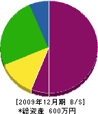横山造園 貸借対照表 2009年12月期