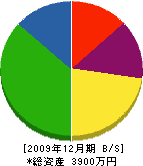 橋本電機商会 貸借対照表 2009年12月期