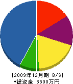 田中電器 貸借対照表 2009年12月期