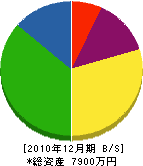 横山工務店 貸借対照表 2010年12月期