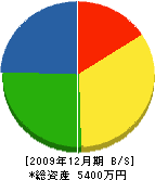 佐々木塗装店 貸借対照表 2009年12月期