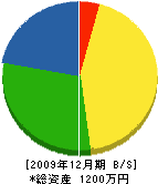 桜花園 貸借対照表 2009年12月期