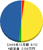 阪口組 貸借対照表 2009年12月期