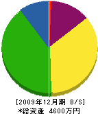 きぬ川畳店 貸借対照表 2009年12月期
