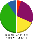 頼光緑地建設 貸借対照表 2009年12月期