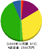 川崎畳店 貸借対照表 2009年12月期