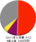 桂田塗装 損益計算書 2011年12月期
