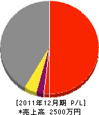 立石電気水道設備 損益計算書 2011年12月期 立石電気水道設備 損益計算書 2011年12月期