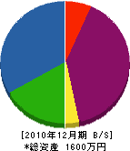 洲崎建設 貸借対照表 2010年12月期