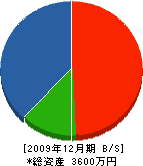 上野住建 貸借対照表 2009年12月期