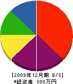 佐藤組 貸借対照表 2009年12月期