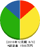 斉藤建築工業 貸借対照表 2010年12月期
