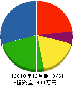 町田水道設備 貸借対照表 2010年12月期
