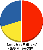 友澤設備 貸借対照表 2010年12月期
