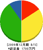 タケマサ電機 貸借対照表 2009年12月期