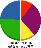 安井土木 貸借対照表 2009年12月期
