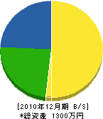井手グリーンサービス 貸借対照表 2010年12月期