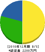 上松建設 貸借対照表 2010年12月期