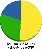 高橋緑地 貸借対照表 2009年12月期