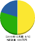 藤田塗装 貸借対照表 2010年12月期