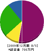 イケダ・ホーム 貸借対照表 2009年12月期
