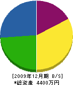 前田塗装 貸借対照表 2009年12月期