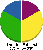 松尾建築 貸借対照表 2009年12月期