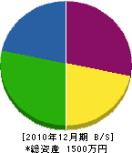 坂田組 貸借対照表 2010年12月期