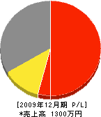 田中土木 損益計算書 2009年12月期