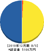 柴坂技建 貸借対照表 2010年12月期