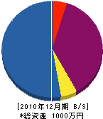 井村商店 貸借対照表 2010年12月期