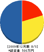 佐々木電機工業所 貸借対照表 2009年12月期