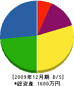 亀井内装畳店 貸借対照表 2009年12月期
