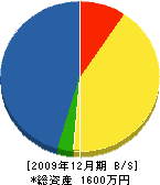 中村塗装工業 貸借対照表 2009年12月期
