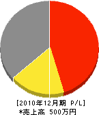 矢野組 損益計算書 2010年12月期