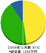 寺岡製畳 貸借対照表 2009年12月期