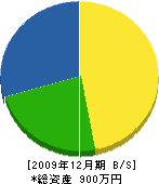若山電設 貸借対照表 2009年12月期