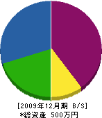 中村塗装店 貸借対照表 2009年12月期