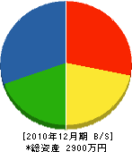 上田電機工業所 貸借対照表 2010年12月期
