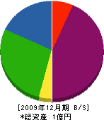 藤田組 貸借対照表 2009年12月期